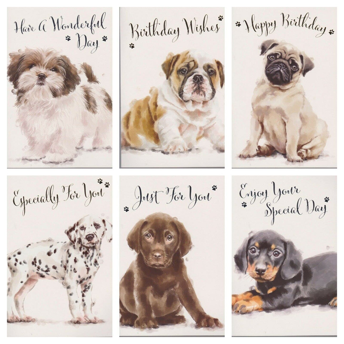 Puppy Open Birthday Cards 6