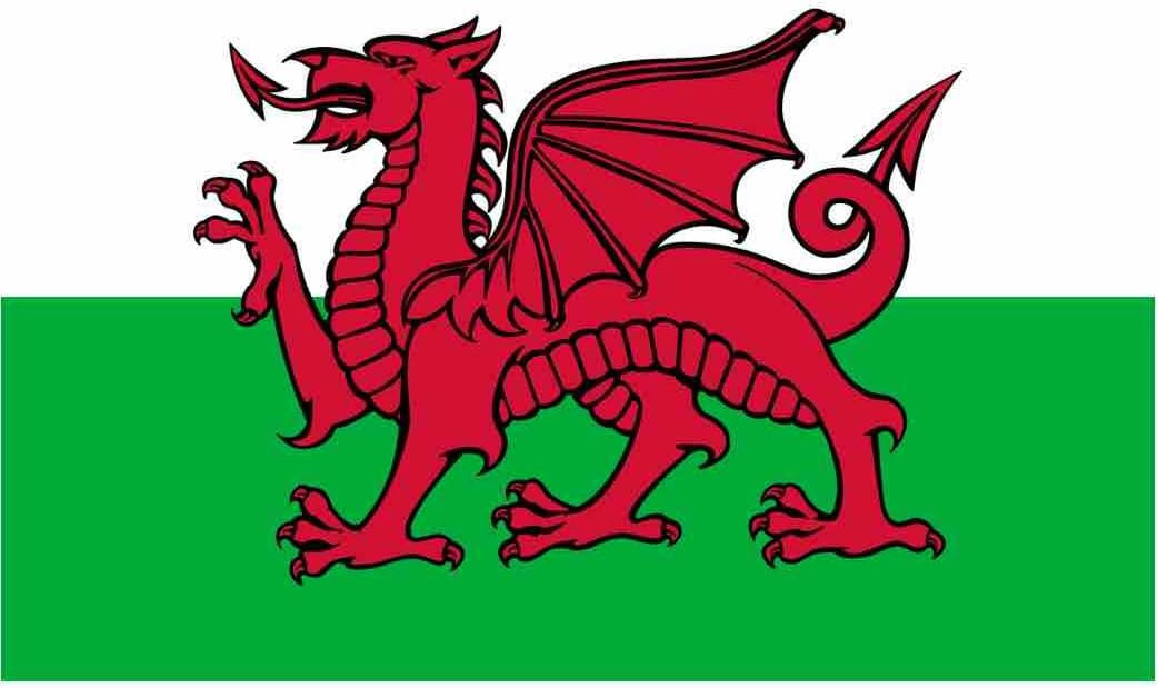 Welsh Dragon National Flag - Multi-Colour