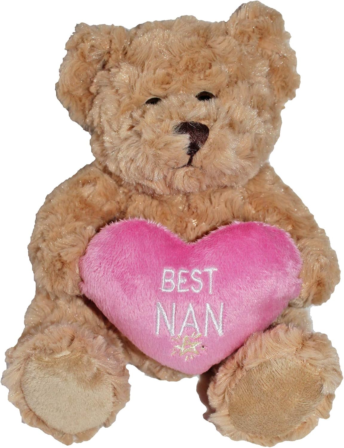 your the worlds best nan bear