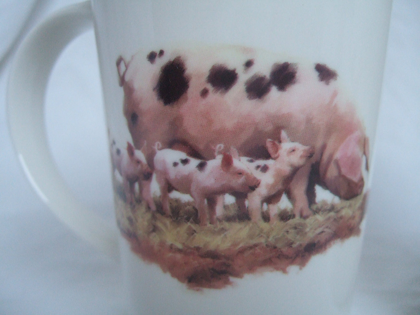 Set of 2 Fine China Latte Mugs - Pig and Piglets Design