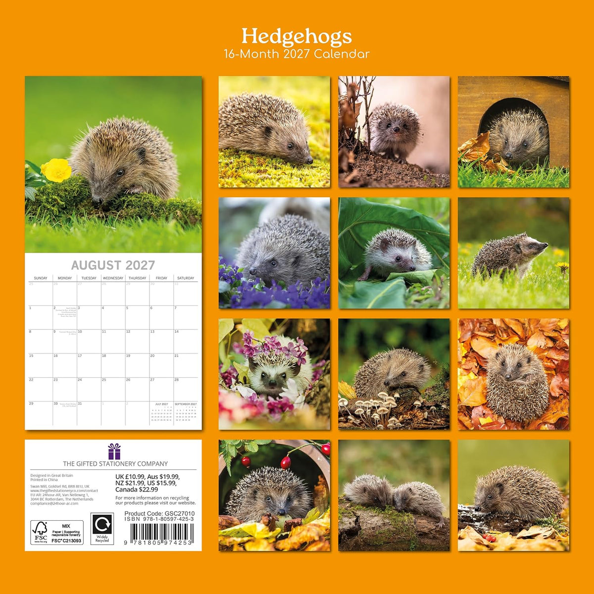 Hedgehogs 2026-2027 Calendar, 16-Month Square Wall Calendar (Sept 2026 – Dec 2027), UK Planner with Hedgehogs, For Animal Lovers, Home Decor, Office Organiser | 30 x 30 cm