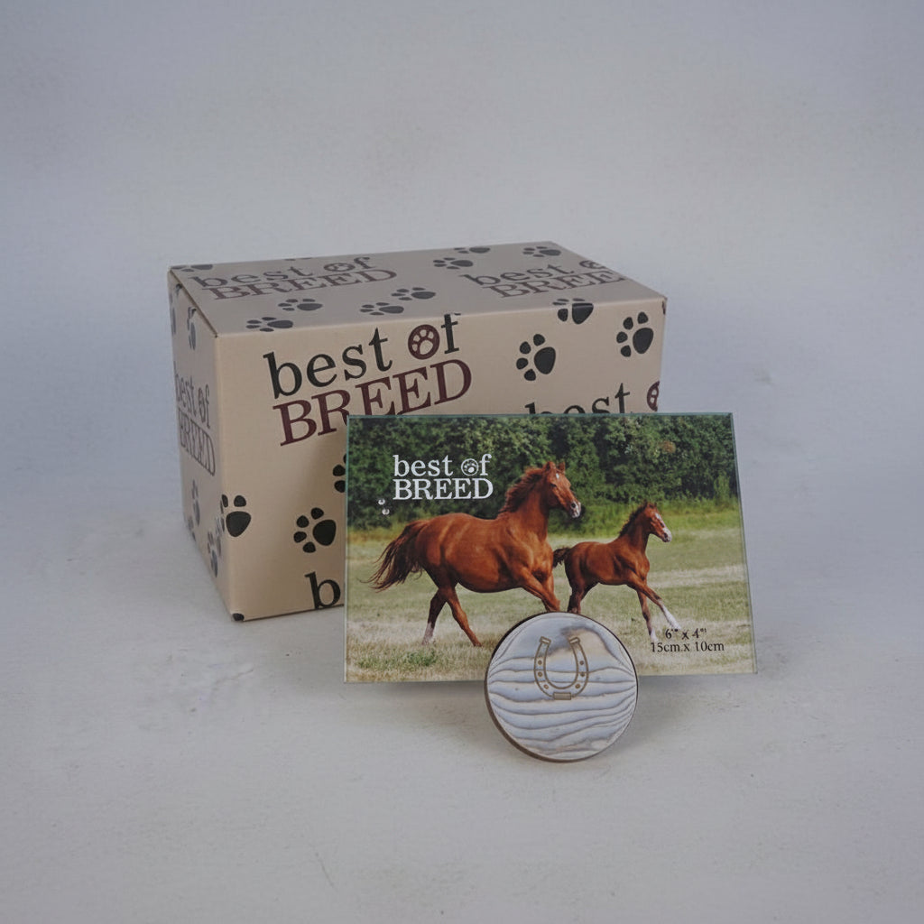 best of breed horse photo frame 6 x 4
