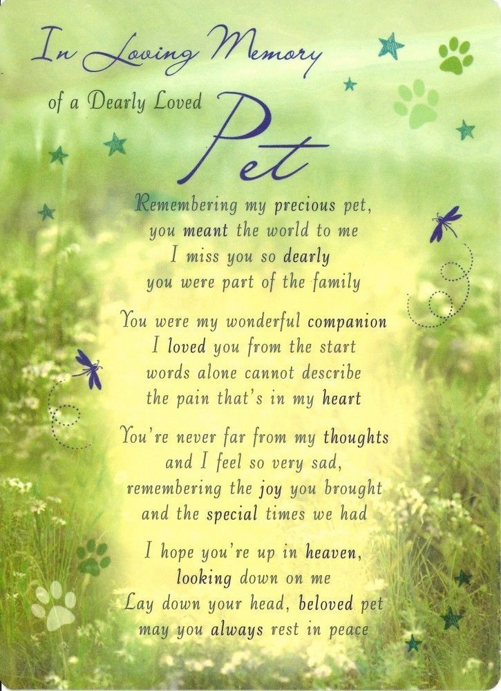 Loving Memory Graveside Memorial Card of a dearly loved pet