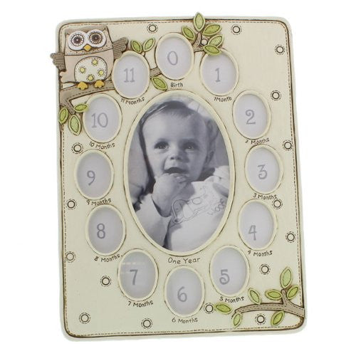 Juliana Baby Noahs Ark Resin 13 Aperture Frame Owl (CG401) - hanrattycraftsgifts.co.uk
