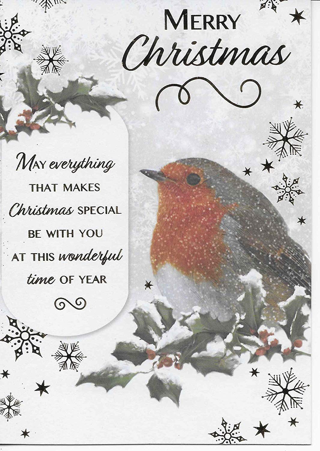 Pack of 8 Christmas Cards - Robins - 2 Designs 4 of Each