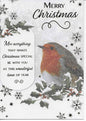 Pack of 8 Christmas Cards - Robins - 2 Designs 4 of Each