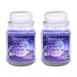 2X Starlytes 510g Large Glass Jar Candle (125hr Burn Time) - Moonlit Skies