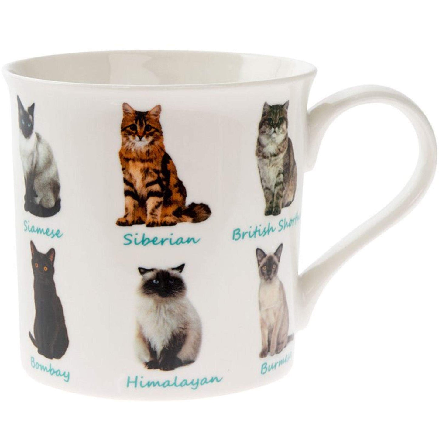 Leonardo Cats Mug, Fine China, Multicolour, 12 x 9 x 8 cm, 225 ml