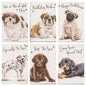 Puppy Open Birthday Cards 6