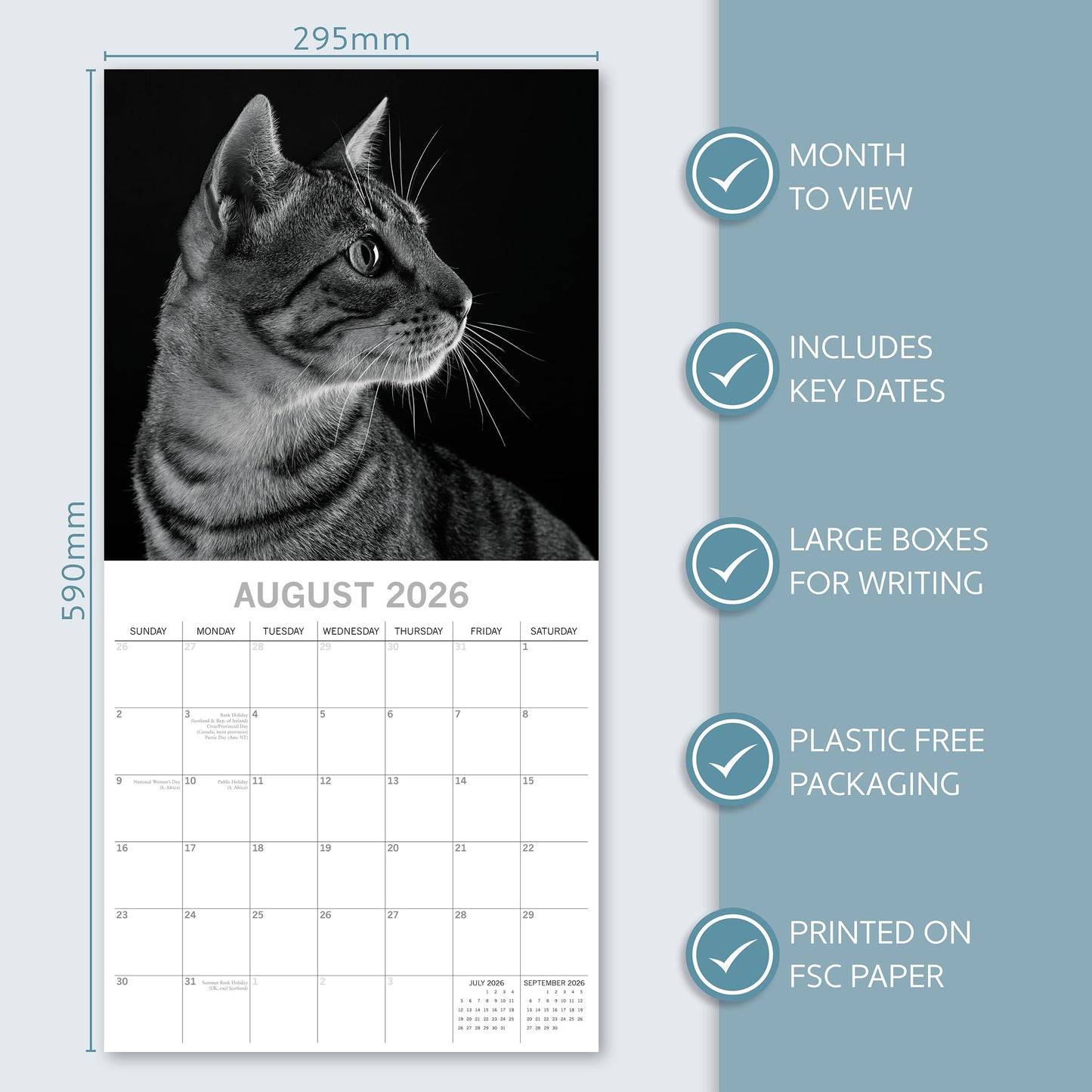 The Gifted Stationery Monthly Wall Calendar - Cat Portraits