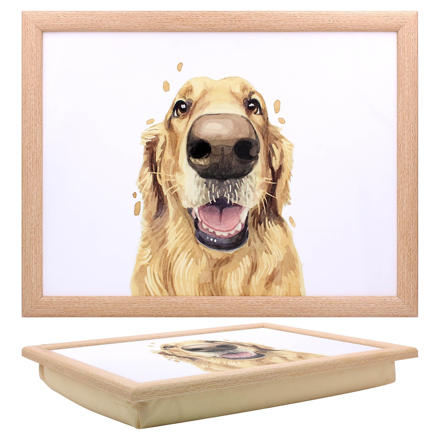 LAPTRAY