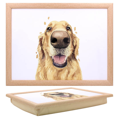 LAPTRAY
