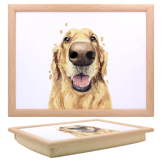 LAPTRAY