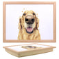 LAPTRAY