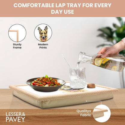 LAPTRAY