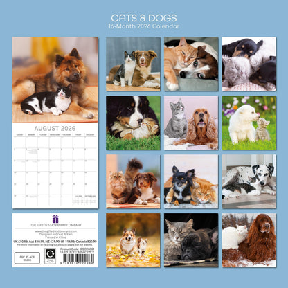 TGSC | Cats & Dogs 2026 Calendar 16 Month (Sept 2025-Dec 2026) Family Square Wall Calendar 2026 UK | Planner with Large Grid for Home or Office Organisation - Animals 2026/2025 Calendar UK