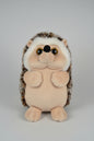 bright eyes fluffy hedgehog