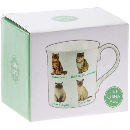 Leonardo Cats Mug, Fine China, Multicolour, 12 x 9 x 8 cm, 225 ml
