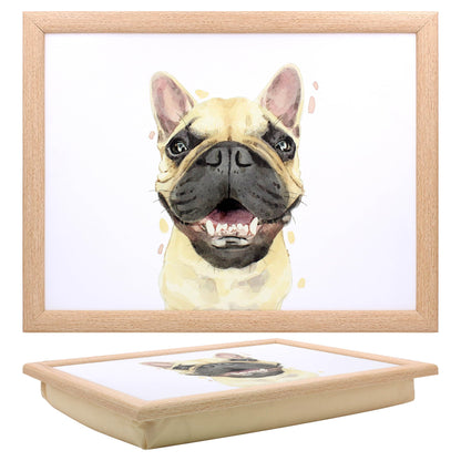 LAPTRAY