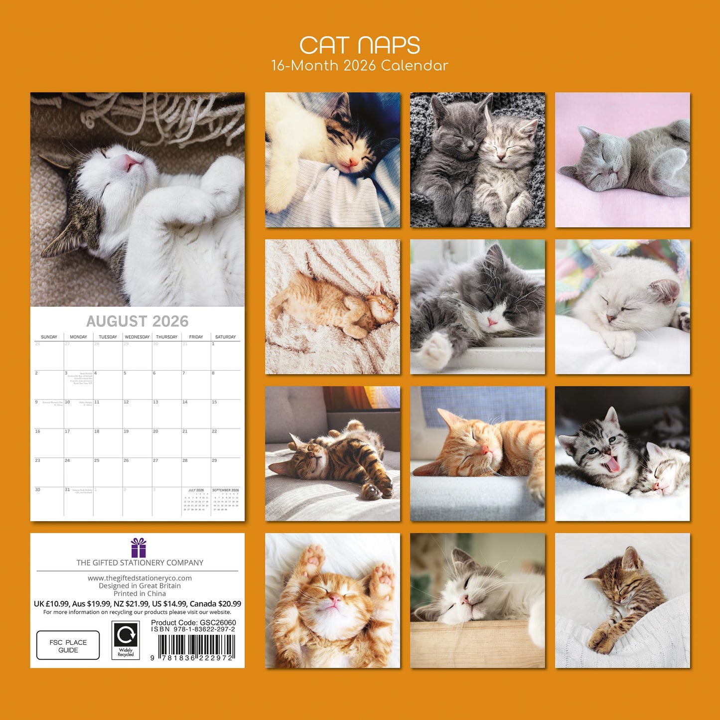 TGSC | Cat Naps 2026 Calendar 16 Month (Sept 2025-Dec 2026) Family Square Wall Calendar 2026 UK | Planner with Large Grid for Home or Office Organisation - Animals 2026/2025 Calendar UK