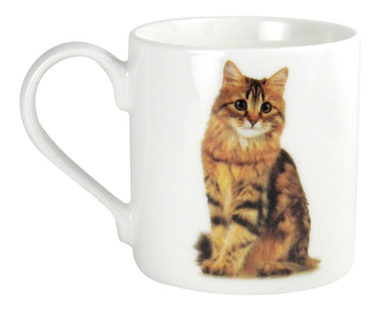 Tabby Cat Mug - Standard Size, China Construction