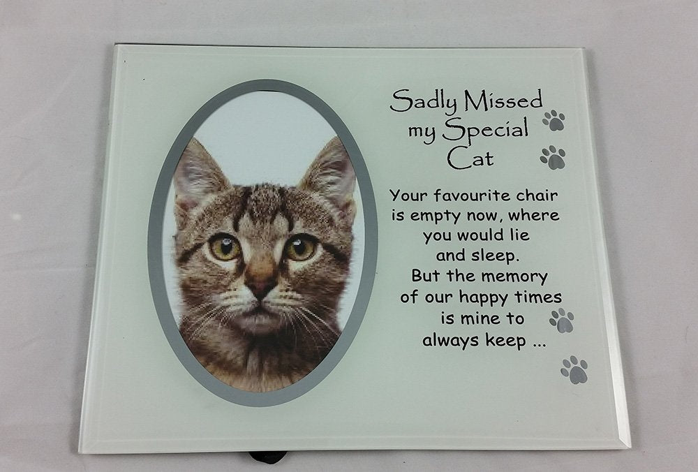 Sadly Missed My Special Cat Memorial Photo Frame