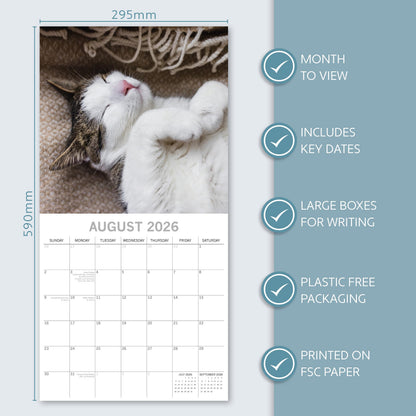 TGSC | Cat Naps 2026 Calendar 16 Month (Sept 2025-Dec 2026) Family Square Wall Calendar 2026 UK | Planner with Large Grid for Home or Office Organisation - Animals 2026/2025 Calendar UK
