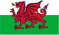 Welsh Dragon National Flag - Multi-Colour