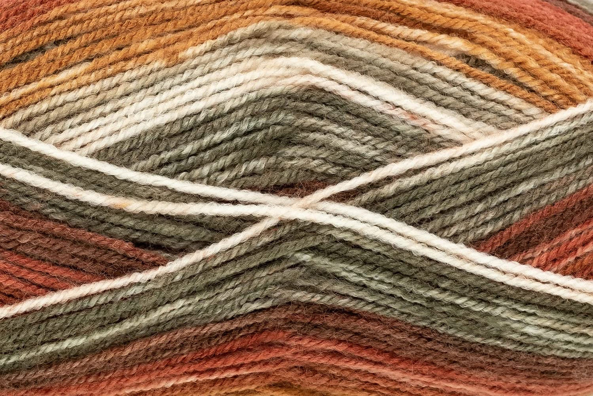 King Cole 100g Bramble DK Double Knitting Self Striping Yarn Acrylic Wool Ball
