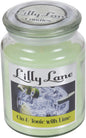 Lilly Lane 18oz Scented Candles Fragranced Wax Lights for Aromatherapy & Pleasant Home Atmosphere