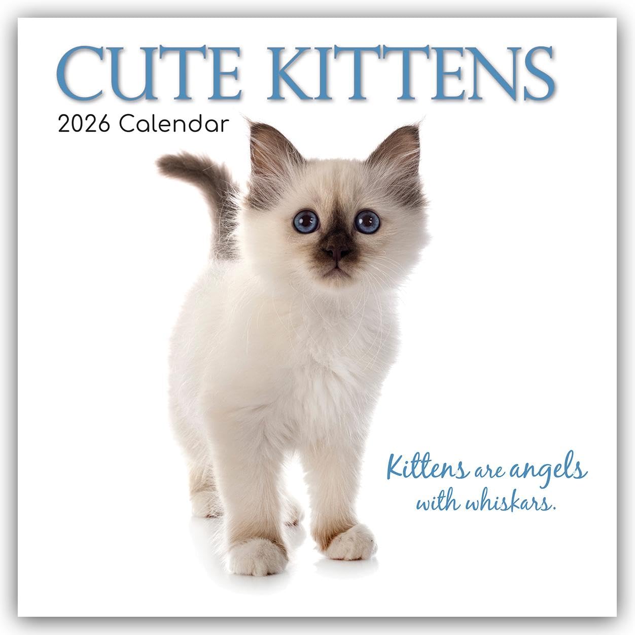 Cute Kittens - Niedliche Kätzchen 2026 - 16-Monatskalender: Original Gifted Stationery-Kalender [Mehrsprachig] [Kalender]