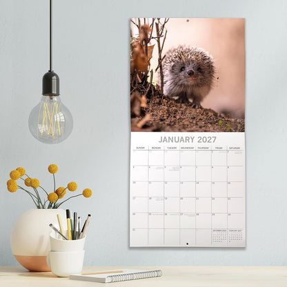 Hedgehogs 2026-2027 Calendar, 16-Month Square Wall Calendar (Sept 2026 – Dec 2027), UK Planner with Hedgehogs, For Animal Lovers, Home Decor, Office Organiser | 30 x 30 cm