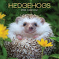 Hedgehogs 2026 Calendar 16 Month (Sept 2025-Dec 2026) Family Square Wall Calendar 2026 UK | Planner with Large Grid for Home or Office Organisation - Animals 2026/2025 Calendar UK