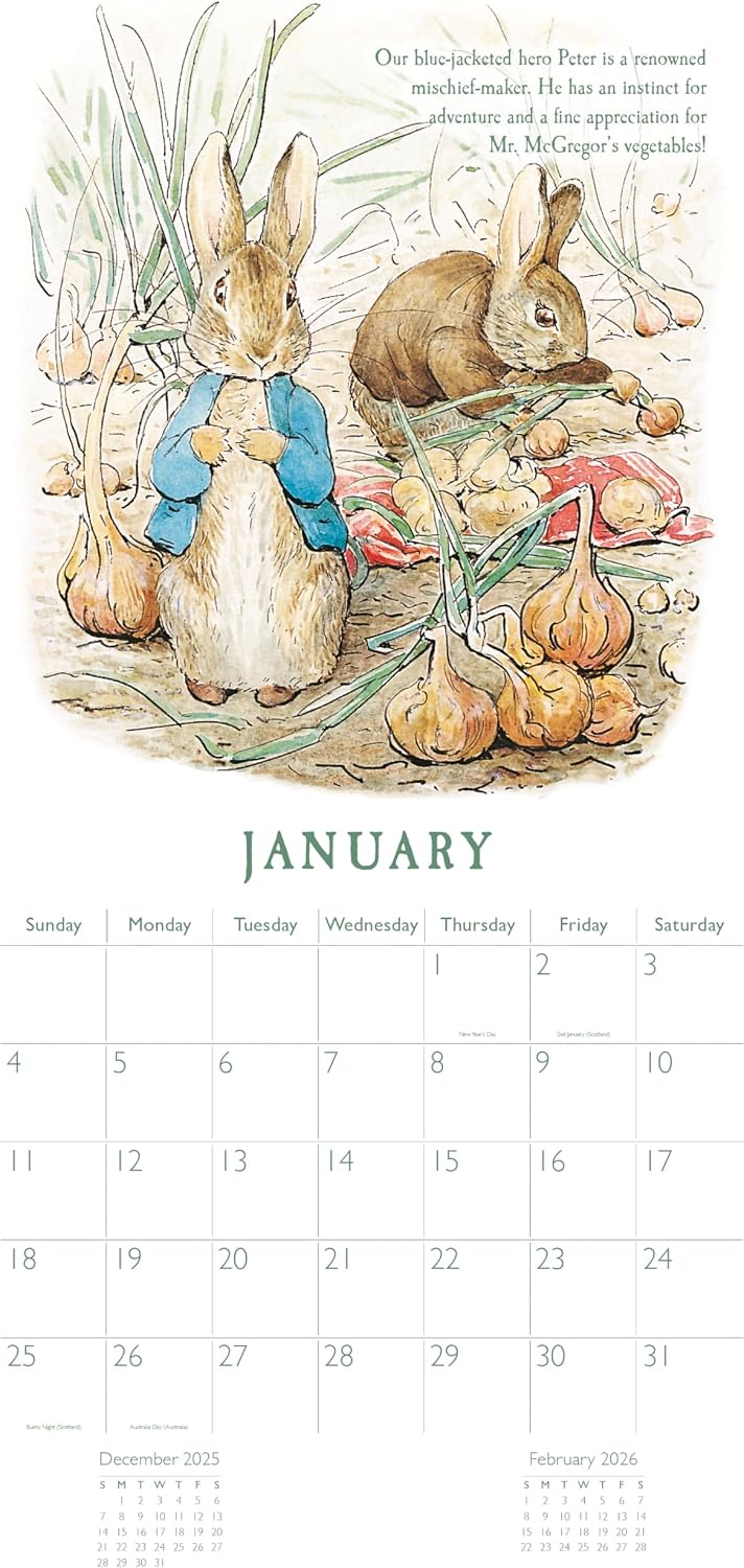 Peter Rabbit 2026 Square Wall Calendar | Monthly Planner with Beatrix Potter Illustrations | Classic Character Calendar for Home or Office