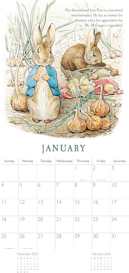 Peter Rabbit 2026 Square Wall Calendar | Monthly Planner with Beatrix Potter Illustrations | Classic Character Calendar for Home or Office