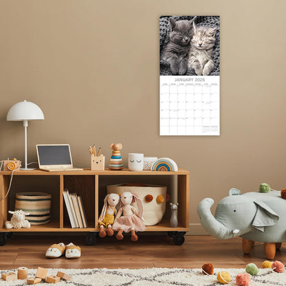 TGSC | Cat Naps 2026 Calendar 16 Month (Sept 2025-Dec 2026) Family Square Wall Calendar 2026 UK | Planner with Large Grid for Home or Office Organisation - Animals 2026/2025 Calendar UK