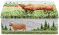 Elite tins HIGHLAND COW Rectangular TIN Hairy Beasts