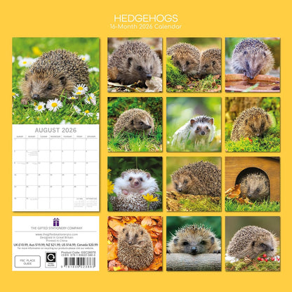 Hedgehogs 2026 Calendar 16 Month (Sept 2025-Dec 2026) Family Square Wall Calendar 2026 UK | Planner with Large Grid for Home or Office Organisation - Animals 2026/2025 Calendar UK