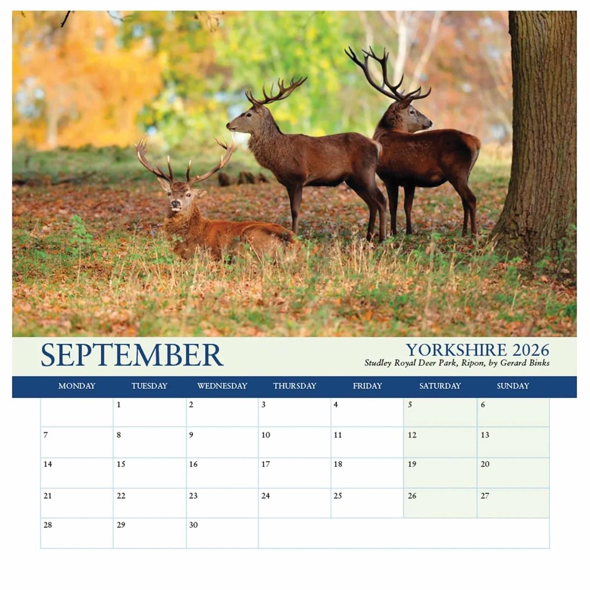 Yorkshire Dalesman Deluxe Calendar 2026, Deluxe Calendars, Month To View, Travel, Gift