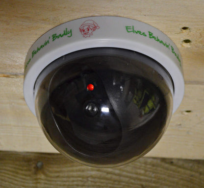 Elves Behavin' Badly Dummy Security Camera, 10x10x13