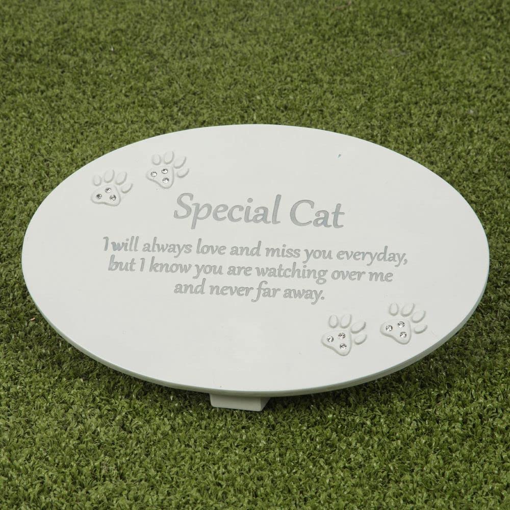 Juliana In Loving Memory 'Special Cat' Cream Oval Memorial Grave Plaque with Clear Crystal Paw Prints