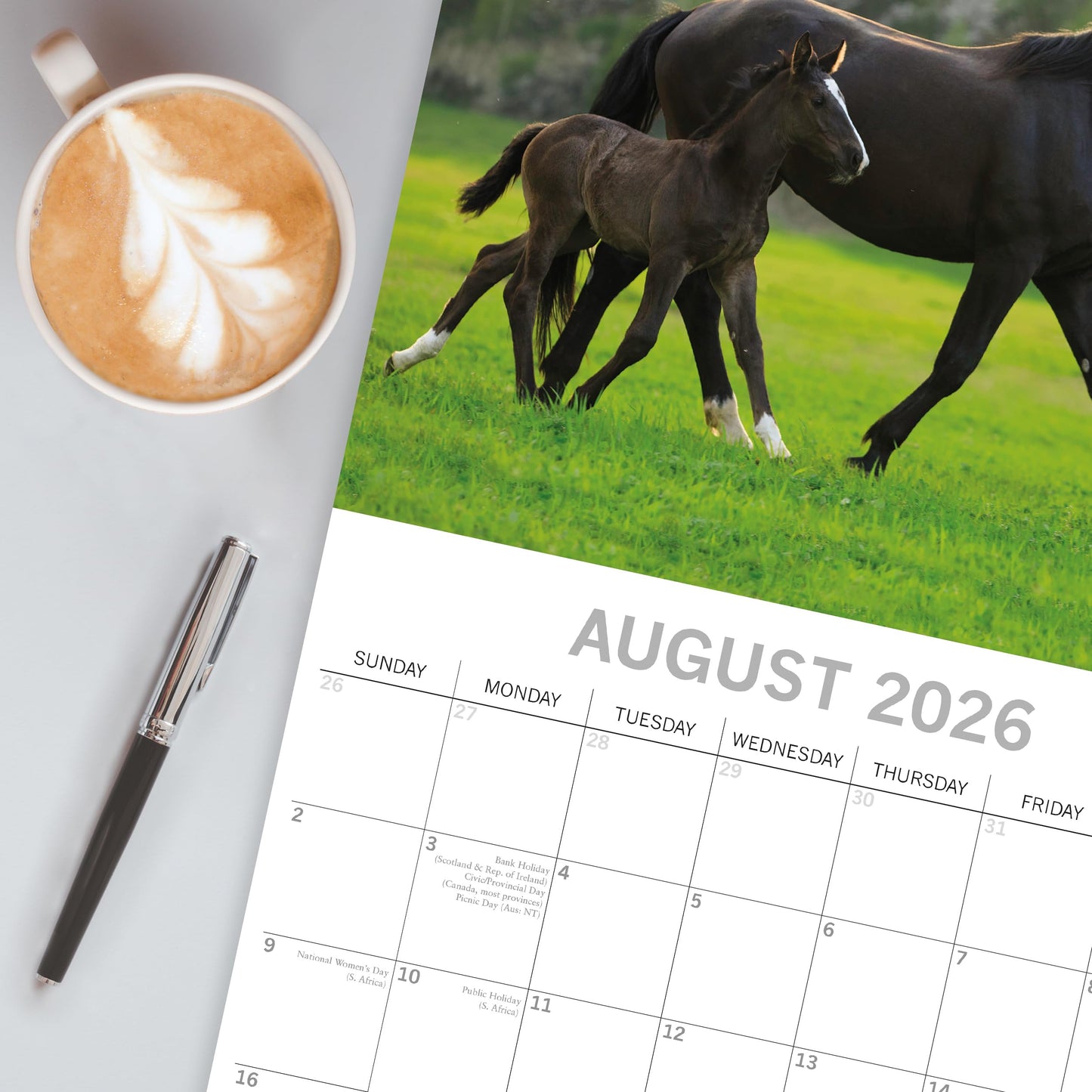 TGSC | Cats & Dogs 2026 Calendar 16 Month (Sept 2025-Dec 2026) Family Square Wall Calendar 2026 UK | Planner with Large Grid for Home or Office Organisation - Animals 2026/2025 Calendar UK