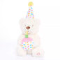 Birthday Bear White    PLUSH BEAR