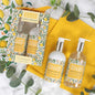 William Morris Fruits Hand Care 2 Bottle Set