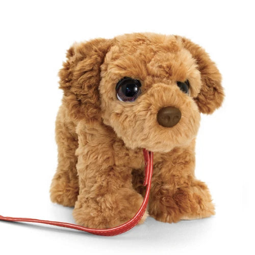 KEEL SIGNATURE CUDDLE PUPPY ON LEAD cockapoo