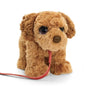 KEEL SIGNATURE CUDDLE PUPPY ON LEAD cockapoo