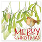 Mistletoe Robin Christmas 6 card pack