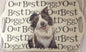LARGE COLLIE SHEEPDOG DESIGN TRAY