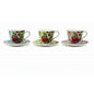 Boxed China Cup Saucer Sberry
