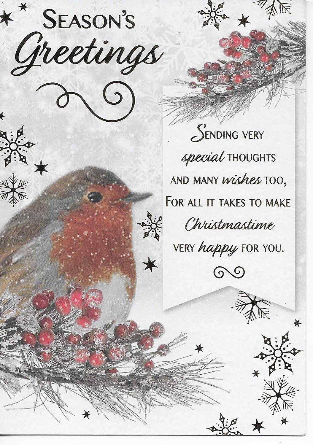 Pack of 8 Christmas Cards - Robins - 2 Designs 4 of Each